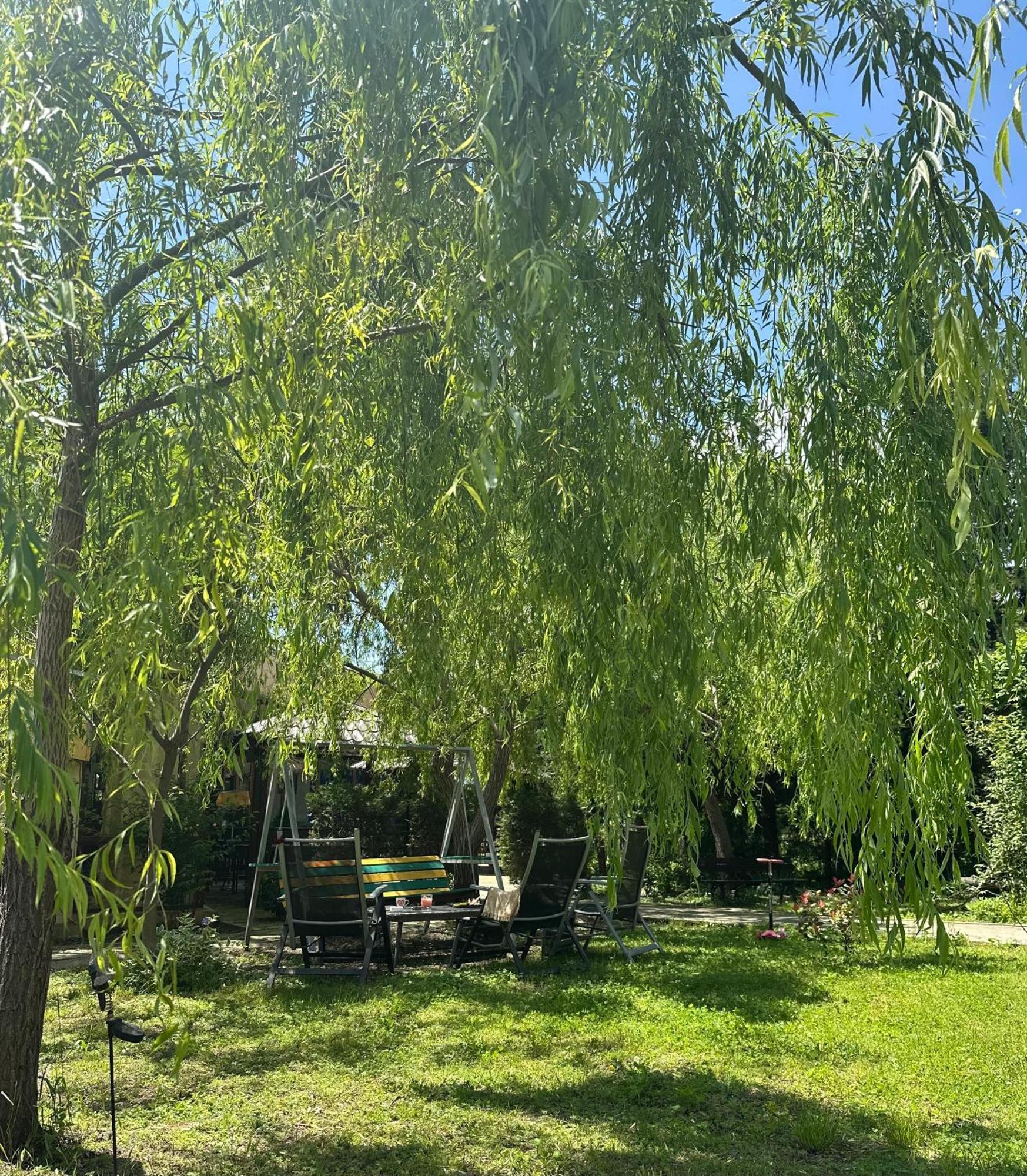 Green House Кварелі Екстер'єр фото
